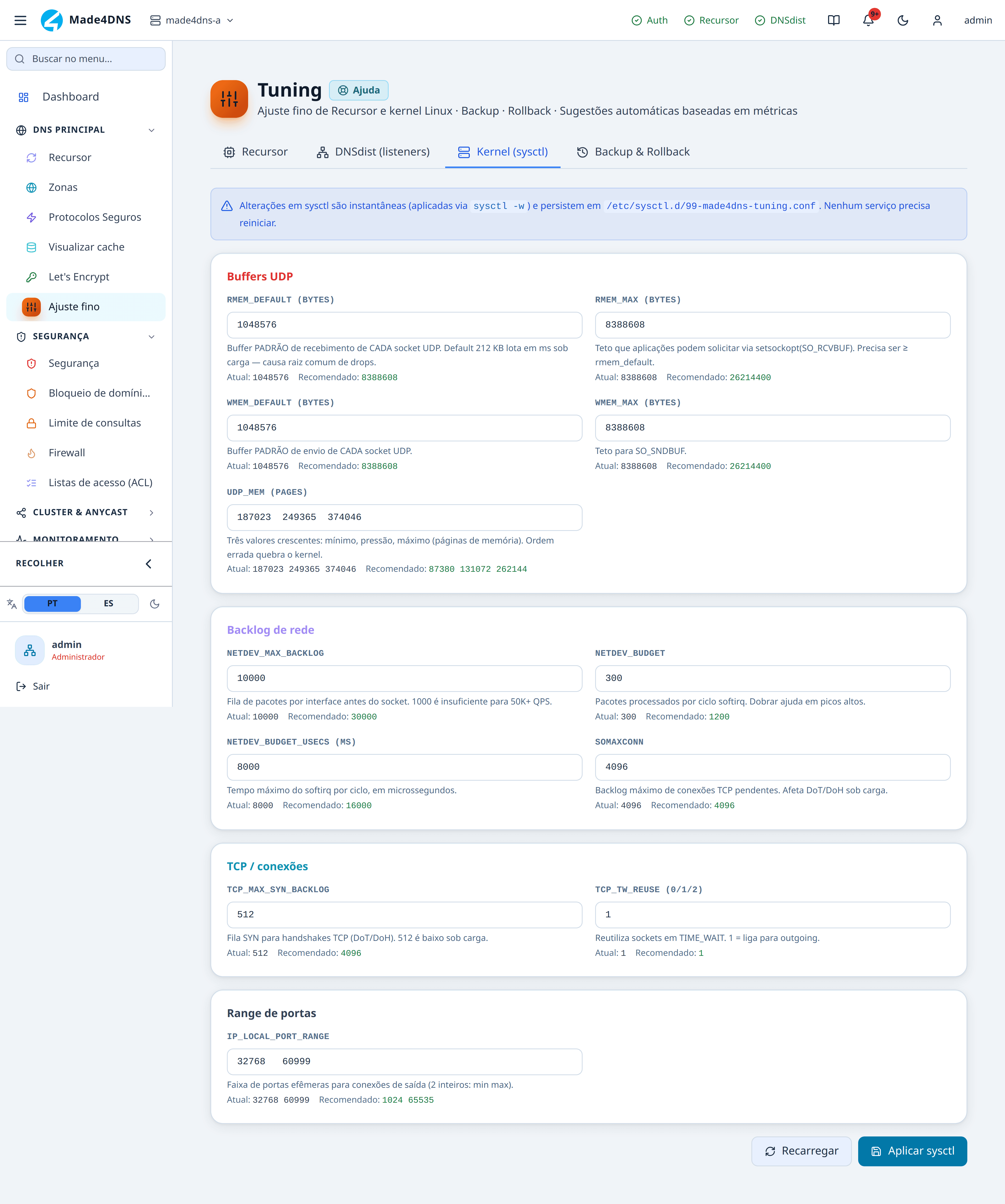 Aba de kernel com os buffers de rede, filas e faixa de portas