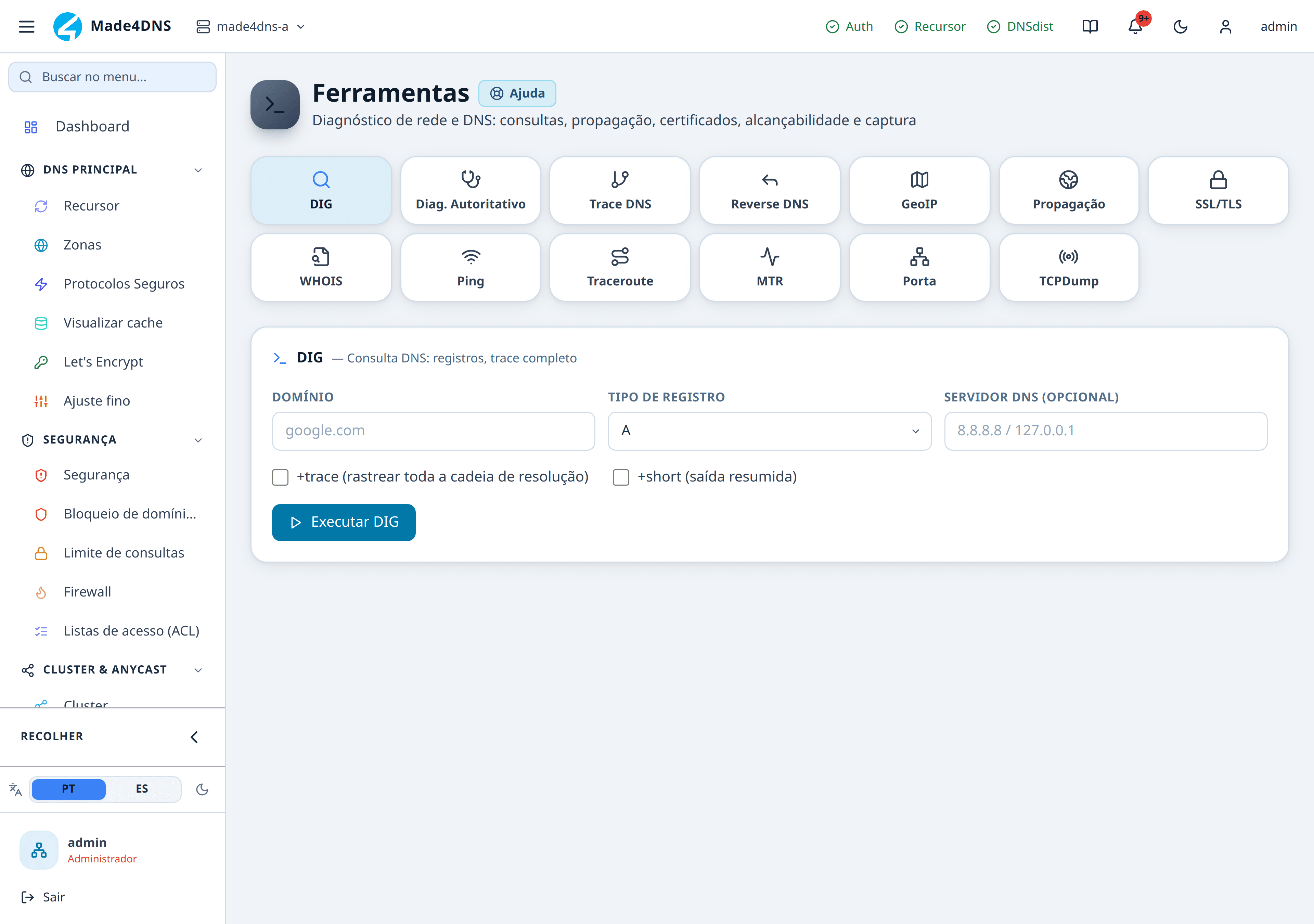 Tela de Ferramentas com a grade de diagnósticos e o terminal de saída do DIG