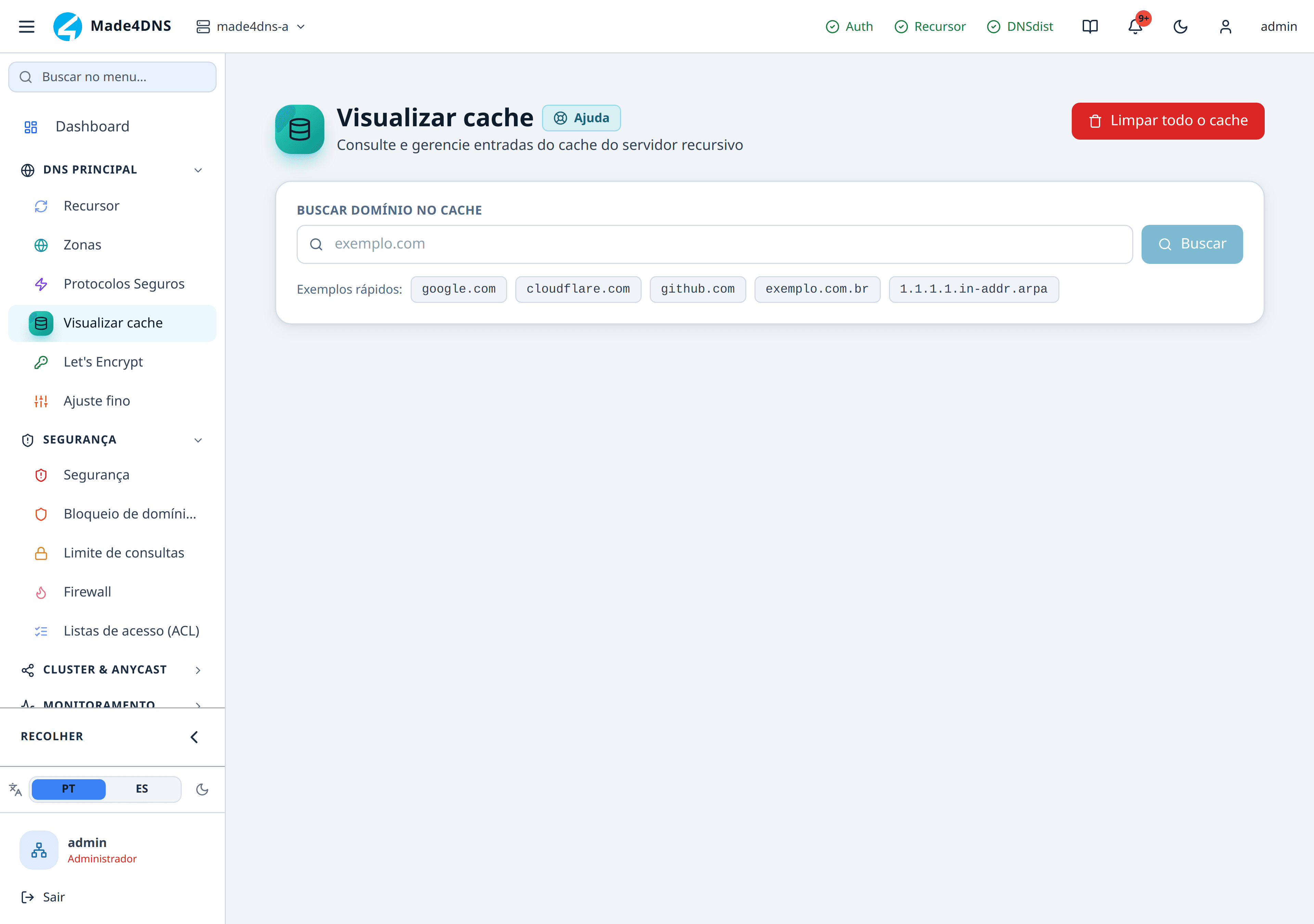 Visualizador de cache com a busca por domínio e a tabela de entradas com tempo restante