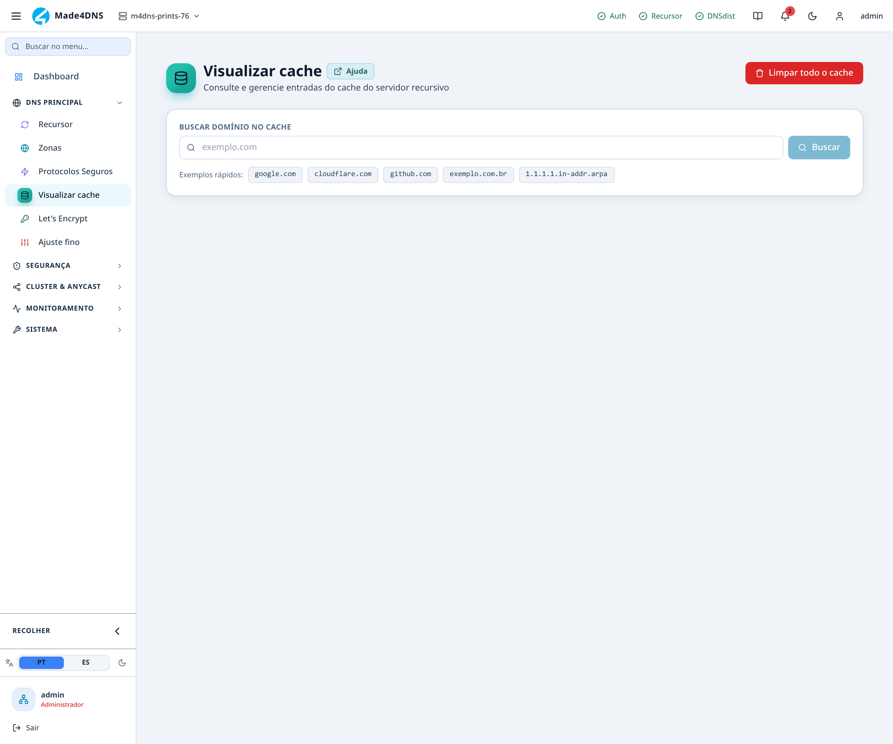 DNS principal → Visualizar cache