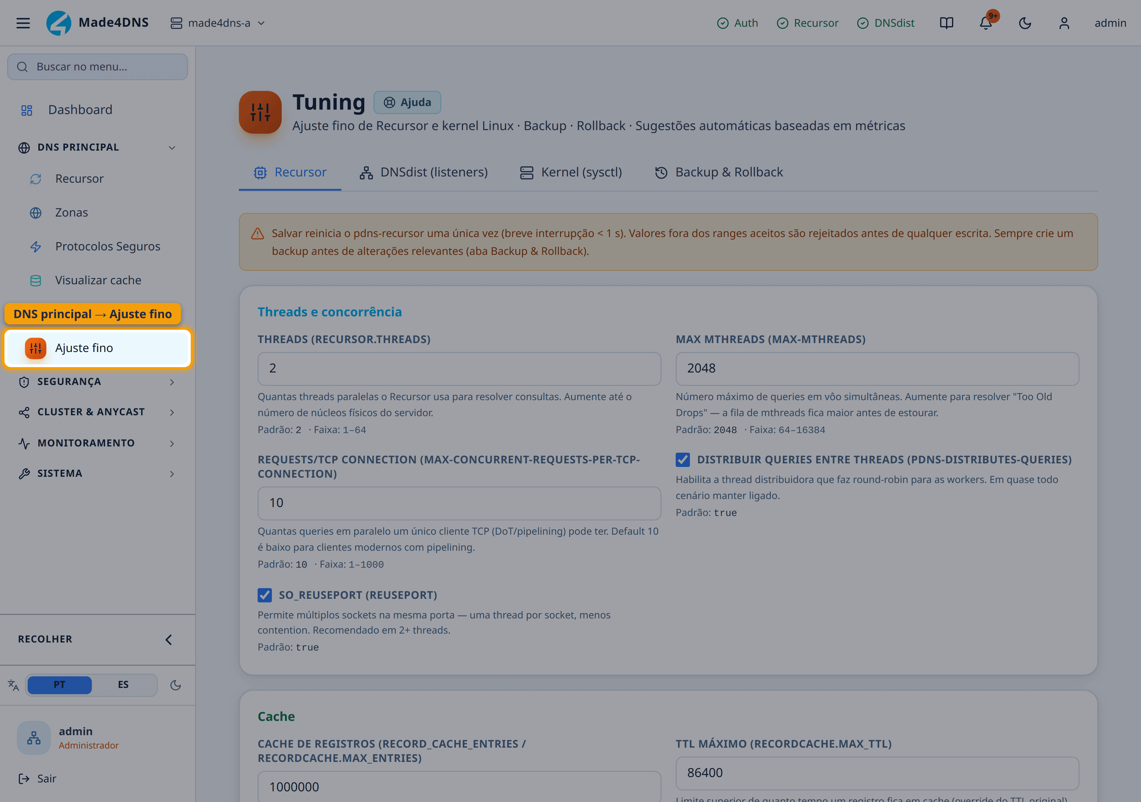 DNS principal → Ajuste fino